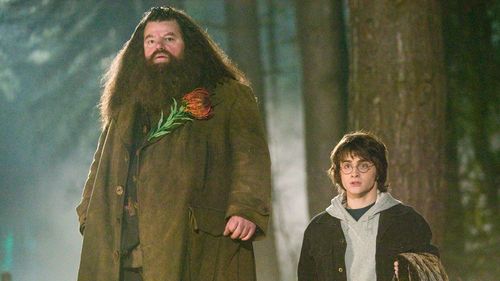 《哈利波特》海格72歲過世　經紀人：寇特蘭的演出為世界帶來歡樂