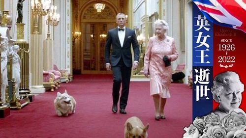 英國女王駕崩|愛狗成癡度蜜月也愛相隨 軋一角拍奧運開幕片