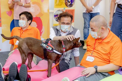 心輔犬療癒長者、自閉兒　鄭運鵬：要做弱勢族群遮雨棚