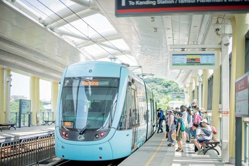 搭乘輕軌旅行去 淡水在地走讀工作室帶旅人挖文蛤、採茶籽深度體驗在地之美