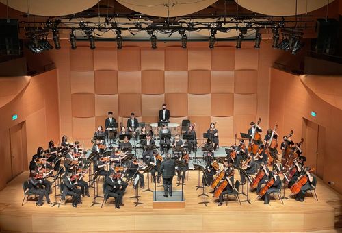 世界最古老大提琴現身「奇美音樂節」！10/21首登高雄衛武營