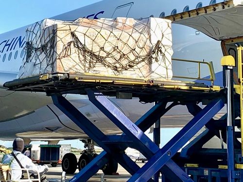 自購第二批50.4萬劑Novavax疫苗 今早7:15運抵桃機