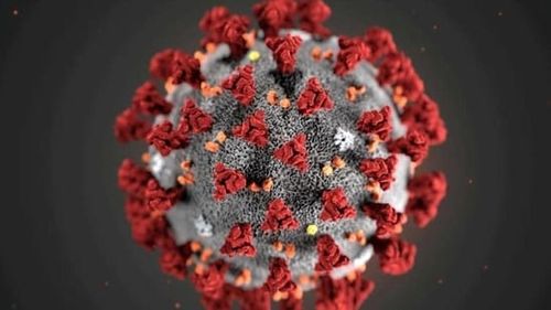 Omicron新變種BA.2.75.2!歷來最強免疫逃脫能力 已8國現跡