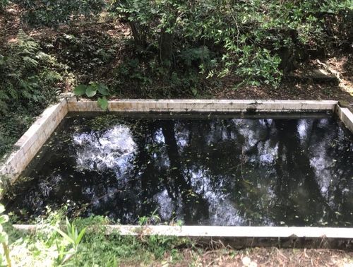 軒嵐諾颱風過後整理菜園　新北婦摔落蓄水池溺水身亡