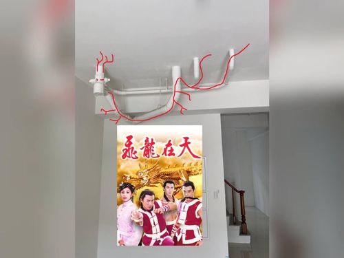 新家驚見「飛龍在天」 購屋族含淚吞建商大禮包