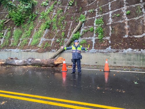 北宜公路68K斷木阻礙通行　警冒雨排除交管