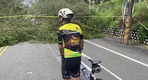 軒嵐諾強風掃斷30米大樹 橫擋彰化寶山路