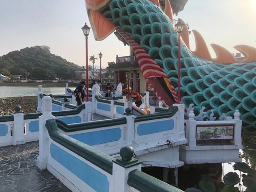 高雄蓮池潭花叢中漂出浮屍 警消打撈身份待辨