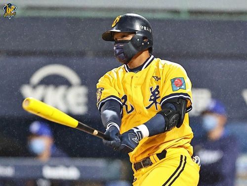 丟棒爭議引起猿迷象迷熱戰　黃韋盛IG回應了