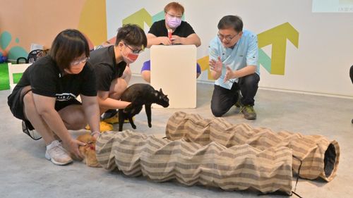 劉櫂豪舉辦貓奴召集令 新台東縣府「造好友善寵物環境」