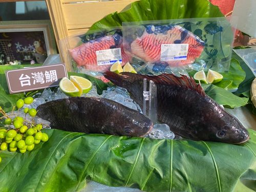 30萬份200元農遊券!開跑37天吸2萬人 目前人人有獎