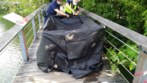 鳥松濕地公園驚見女浮屍　警通知家屬協助指認身分