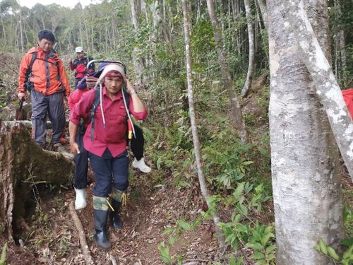 14人登山團攀西巒大山 女山友遭蜈蚣咬傷!全身癱軟求援