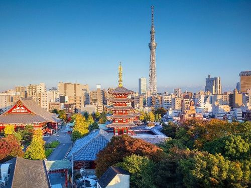 日本自由行|旅行社推優惠 虎航東京機票送住宿含稅16900元起、再含20公斤行李