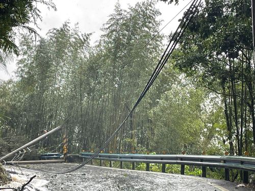 颱風停電5.9萬戶 台電搶修於今晚9時全數復電