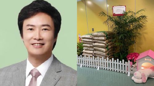 劉若英攻蛋吸退休費玉清「悄悄參與」 張清芳五月天張艾嘉等眾星力挺