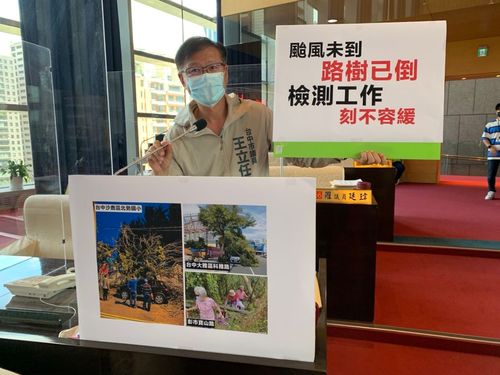 路樹倒塌災情一晚百件 中市議員疾呼路樹該健檢