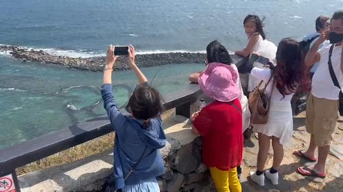 海浪濤濤我不怕！颱風天坐船玩澎湖離島　省了「海盜船」樂園費