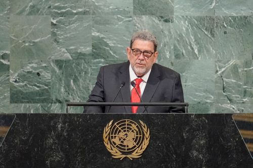 聯大總辯論 聖文森倡接納台灣維護台海和平