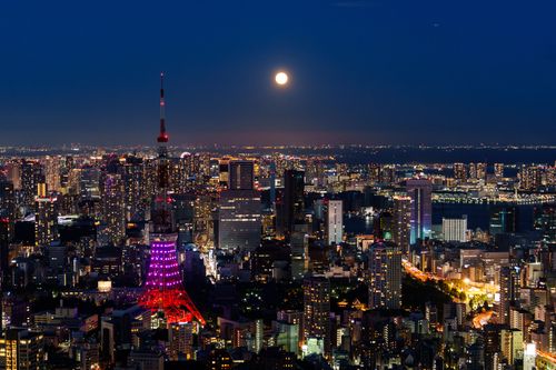 日本鬆綁自由行快了？副官房長官：不遠的將來必須實施