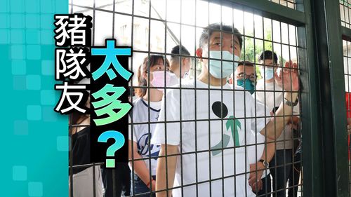 分析|陳時中豬隊友太多頻翻車 專家:當好小英2.0還是贏!除非「這人」火氣拿出來