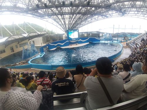 國慶連假首日！3000人衝花蓮海洋公園　估3天上看1.2萬人擠爆
