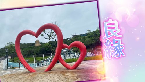 12生肖運勢｜龍一見鍾情狗牛想婚　羊馬融洽虎提分手