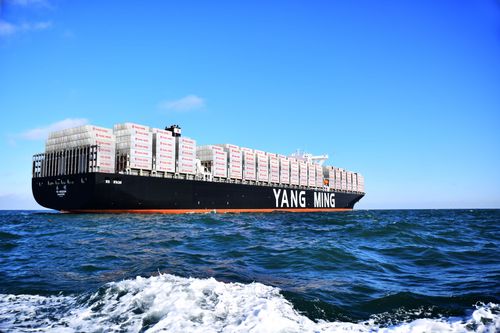 陽明9月營收雙衰退 兩大觀察重點影響後續展望