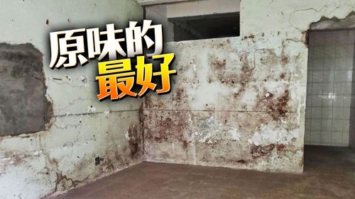 文青最愛「原味廢墟」月租1.8萬　房仲曝優點：省下拆除費