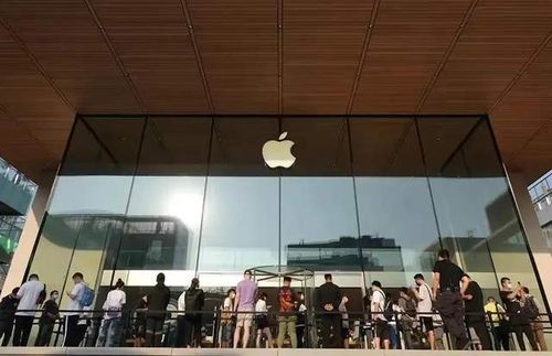 預購iPhone14捲款數千萬！商城囂張公告「我們跑路了」　還酸：以後別太相信人