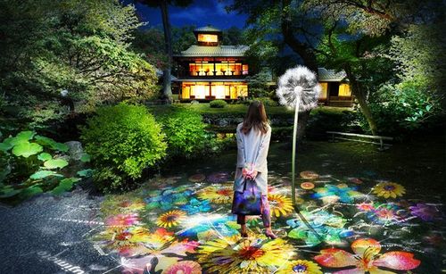日本自由行|光雕团队打造梦幻京都!9月中起夜景缤纷到年底