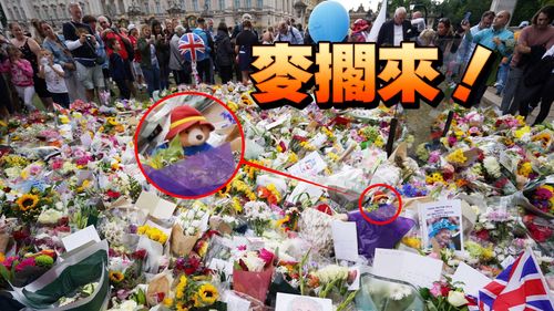 英民眾紀念女王　皇家公園：拜託別再送帕丁頓熊和果醬三明治
