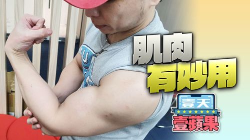 長知識！有肌肉不只好看還加強免疫　醫：可抗發炎+殺病毒