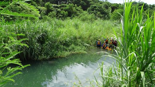 外出捕魚加菜卻不見蹤影　機車停路邊！花蓮翁命葬溪床底