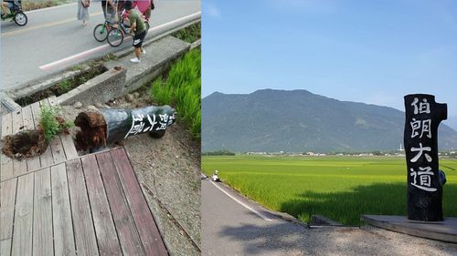 6.8地震|花东多处受灾 伯朗大道标志柱断裂倒地