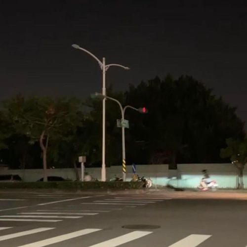 這次是什麼動物! 高雄前鎮區又無預警停電「路燈罷工」