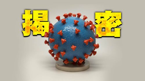 千萬人確診唯獨他們沒事　科學家揭「天選之人」的秘密