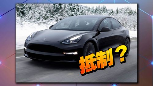 馬斯克辱台爆拒買特斯拉 政府公務車已買40多輛!車主只能尷尬開