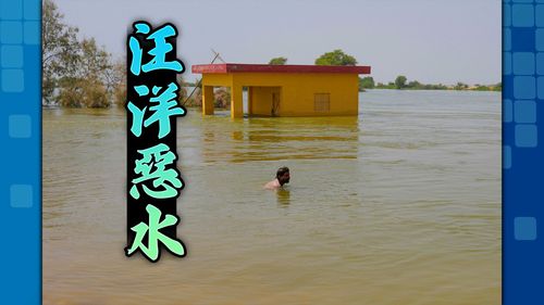 3300萬人無家可歸!巴基斯坦史詩級洪災 3分之1國土泡水