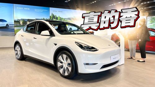 抵台首曝｜特斯拉Model Y搶先開箱　空間放大很有感後座超舒適