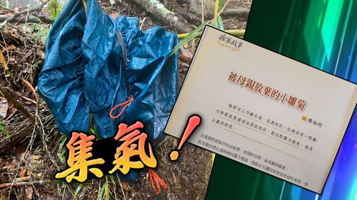 法官陳伯均登山失蹤!辦案熱血曾曝女童性侵案秘辛 大罵2惡狼:畜牲