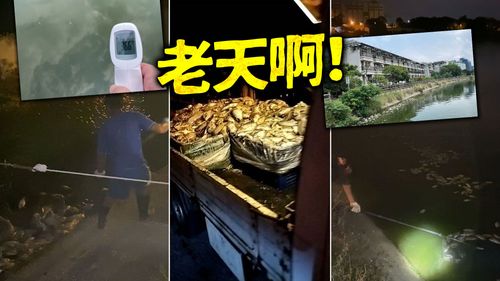 獨家|熱死了!人工湖成火鍋天天「水煮魚」 惡臭成居民夢魘但他無奈喊:是天災