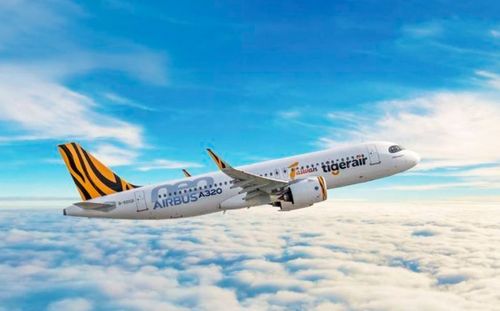 虎航大砍班！哈日族哀鴻遍野　星宇挺同業：此時苛責不公平