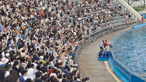海豚、海獅表演人氣旺　遠雄海洋公園估中秋連假遊客破萬