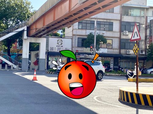 休旅車開上庇護島「烏龜曬太陽」 到底是誰的問題?底下網友吵翻了