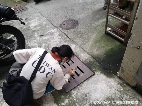 6旬翁兩度就醫確診登革熱！　疾管署籲落實環境清消