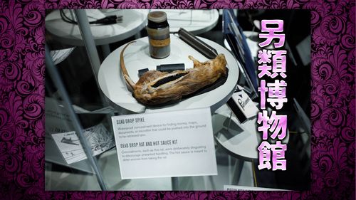 神秘鴿和鼠屍都是間諜物! CIA公開稀有收藏