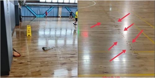 藍營3天連環爆！桃園運動中心球場下小雨　市府解釋非漏水是溫差冷凝