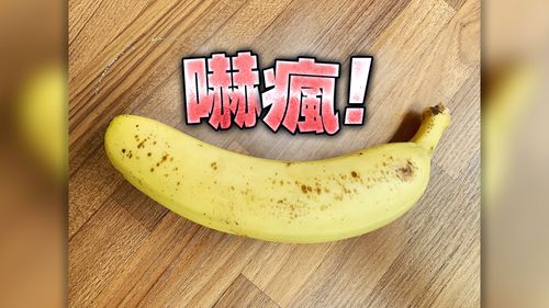 細高跟女大生好主動 揪暗處親熱還扯褲張嘴!他看到這幕嚇到奔逃