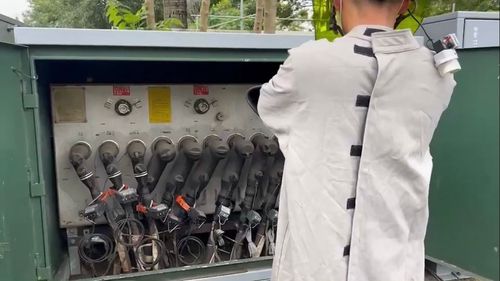 屏東吹瞬間強陣風!路樹倒塌壓斷高壓設備 釀逾5000戶停電
